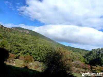 Castañar de El Tiemblo; ruta de los monasterios la rioja ruta los cuchillos del cabriel senderismo 